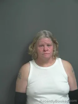 Mugshot of JILL MARY PLUMMER