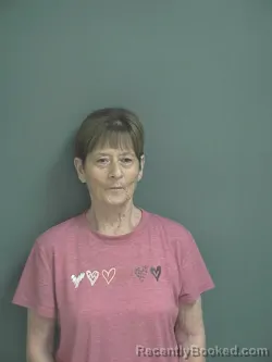 Mugshot of SUSAN ELAINE BROWN booked in Jay County, Indiana on August 5, 2026