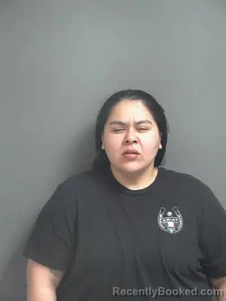 Mugshot of CLAUDIA RANGEL booked in Jay County, Indiana on May 9, 2026