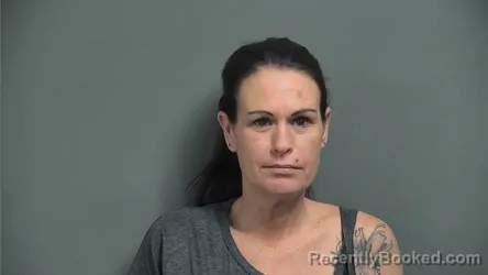 Mugshot of ERIKA D VIEKE