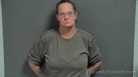 Mugshot of VICKI LYNN PADGETT