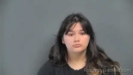 Mugshot of ARIANA E DAVIS