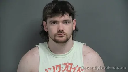 Mugshot of DAMIAN LEE YOUNG