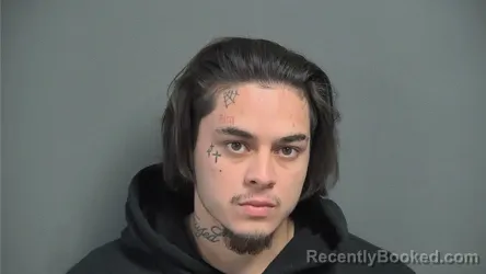 Mugshot of DEREK WAYNE DISON