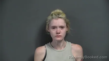 Mugshot of ASHTIN BROOK WHEELER booked in Knox County, Indiana on April 24, 2026