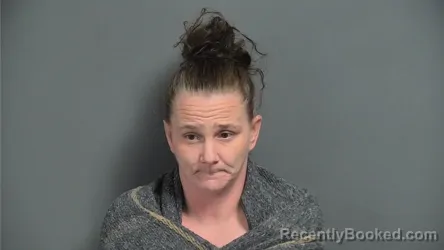 Mugshot of MEGAN M BURNS booked in Knox County, Indiana on April 25, 2026