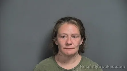 Mugshot of DAWN R RAVELLETTE booked in Knox County, Indiana on June 4, 2026