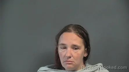 Mugshot of AMANDA SUE PETERS booked in Knox County, Indiana on June 16, 2026