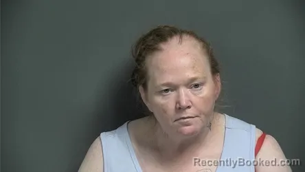 Mugshot of SHERRI L COLLINS booked in Knox County, Indiana on July 11, 2026