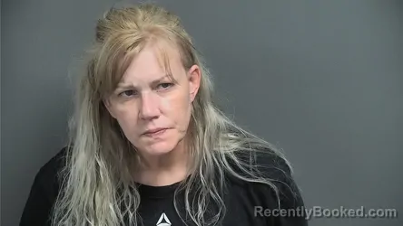 Mugshot of TINA R SIMMONS booked in Knox County, Indiana on July 19, 2026