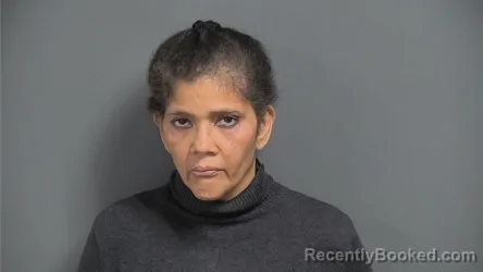 Mugshot of Kimberly Lois Schultz booked in Knox County, Indiana on October 19, 2026