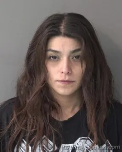 Mugshot of ALEXANDRIA DANIELLE ARRIOLA booked in Kosciusko County, Indiana on April 23, 2026