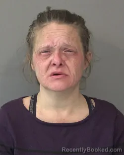Mugshot of AMBER RENEE RICHTER booked in Kosciusko County, Indiana on July 6, 2026