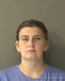 Mugshot of BARBARA ANN FIELDS booked in Kosciusko County, Indiana on April 22, 2026