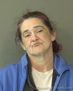 Mugshot of BRANDI KAY HALL booked in Kosciusko County, Indiana on March 19, 2026