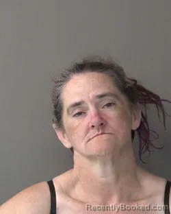 Mugshot of BRANDI KAY HALL booked in Kosciusko County, Indiana on July 12, 2026