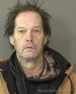 Mugshot of BRENT A MCNEES