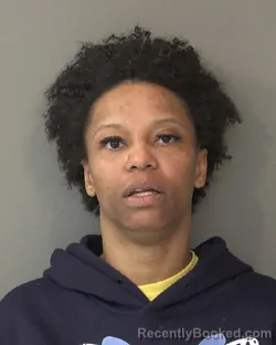 Mugshot of BRITTANI ASHLEY SMITH booked in Kosciusko County, Indiana on March 27, 2026