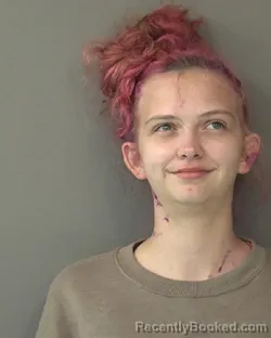 Mugshot of CASSANDRA M NEUFELDT-LICHTENBERGER booked in Kosciusko County, Indiana on April 1, 2026