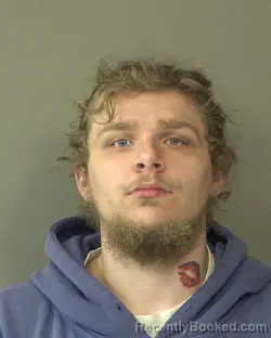 Mugshot of DYLAN DELROSS KING