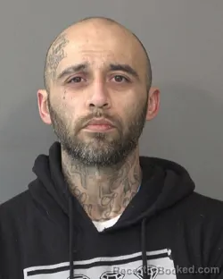 Mugshot of DAVID MICHAEL VELA