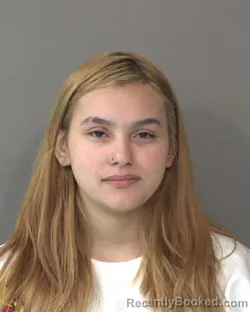 Mugshot of ELANA GOMEZ booked in Kosciusko County, Indiana on March 28, 2026