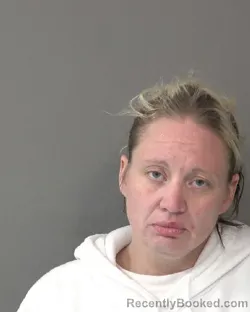 Mugshot of ERICA JILL SECOR