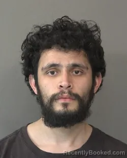 Mugshot of HECTOR ANDRES MARTINEZ