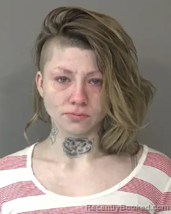 Mugshot of JADE ELIZABETH CRIPPS