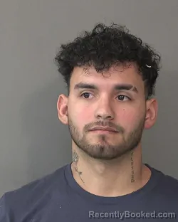 Mugshot of JERBIS JESUS MANZANILLO`RINCON