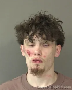 Mugshot of JORDAN RYAN PURDY