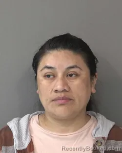 Mugshot of LETICIA HERNANDEZ- PEREZ booked in Kosciusko County, Indiana on March 25, 2026