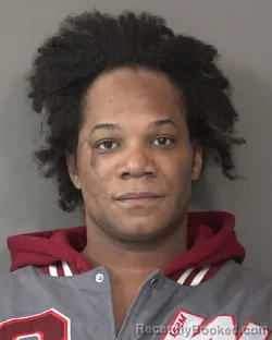 Booking photo from Kosciusko County, Indiana