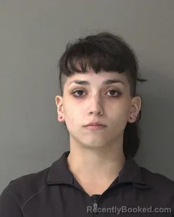 Mugshot of MIA GRACE FLORES booked in Kosciusko County, Indiana on May 24, 2026