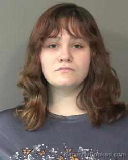 Booking photo from Kosciusko County, Indiana