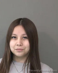 Mugshot of MELISSA OCHOA-AGUIRRE