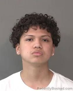 Mugshot of MAURICIO SALOMA TOCHIMANI booked in Kosciusko County, Indiana on April 1, 2026