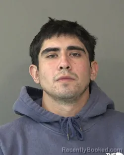 Mugshot of RITO ORTEGA