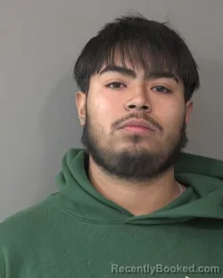 Booking photo from Kosciusko County, Indiana