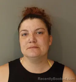 Mugshot of SHAUNA LYNN GIBSON booked in Kosciusko County, Indiana on March 10, 2026