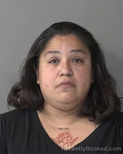 Mugshot of SONIA MARIA HERNANDEZ booked in Kosciusko County, Indiana on June 24, 2026