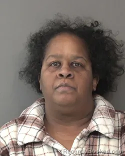 Mugshot of SANDRONA RENEE JOHNSON