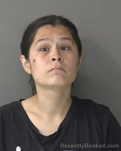 Mugshot of Sanjuana Mendoza booked in Kosciusko County, Indiana on September 11, 2026
