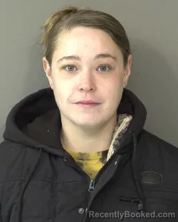 Mugshot of TAYLOR COLE BRANDON