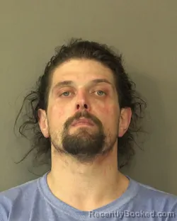 Mugshot of ZACHARY WILLIAM WALGAMUTH