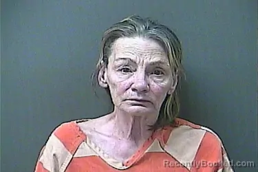 Mugshot of Anna Baron booked in La Porte County, Indiana on October 21, 2026