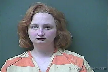 Mugshot of AMANDA D CHAMBERS booked in La Porte County, Indiana on April 22, 2026