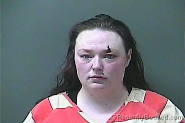 Mugshot of ASHLEY R HARRISON booked in La Porte County, Indiana on March 25, 2026