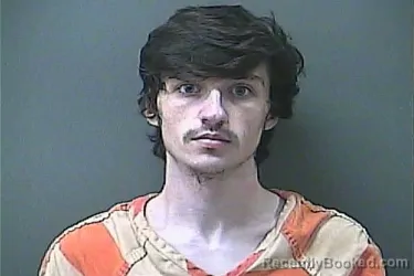 Mugshot of BRANDON HOLT