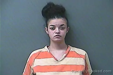 Mugshot of CHYANNE BERNICE MILLER booked in La Porte County, Indiana on March 10, 2026